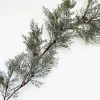 Clearance Christmas Forever GARLAND CEDAR 59″ FROSTED W/ MINI PINE CONES