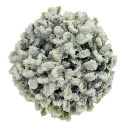 New Christmas Forever HANGING BALL BOXWOOD 5.5″ FROSTED