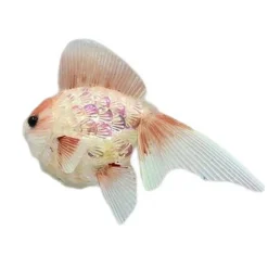 Best Christmas Forever ORN SEA POLY FOAM FISH 7″X8″ SALMON / IRIDESCENT W/ GLITTER & SEQUIN