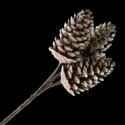 Clearance Christmas Forever PICK PINE CONE 12″ NATURAL 3 CONES