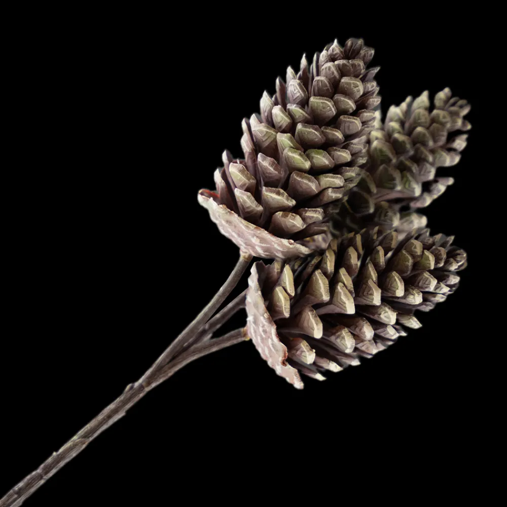 Clearance Christmas Forever PICK PINE CONE 12″ NATURAL 3 CONES