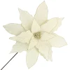 Christmas Forever POINSETTIA STEM IVORY 18″ HEAD VELVET W/ 20″ STEM