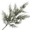 Best Christmas Forever SPRAY CEDAR FROSTED 22″