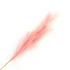 New Christmas Forever SPRAY PAMPAS GRASS 43″ BABY PINK