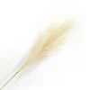 Online Christmas Forever SPRAY PAMPAS GRASS 43″ IVORY