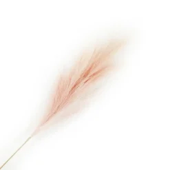 Best Christmas Forever SPRAY PAMPAS GRASS 43″ ROSE