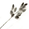 Best Christmas Forever SPRAY PINE CONE 18″ NATURAL WHITE WASHED W/ GLITTER