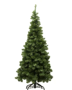 Sale Christmas Forever TREE NOBLE PENCIL PINE 5’/650T
