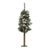 Christmas Forever TREE SNOWY ALPINE 4′ 65T MIXED NEEDLES W/ PINE CONES & BIRD HOUSE