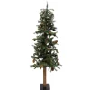 Hot Christmas Forever TREE VIENNA ALPINE 5′ 505T W/ PINE CONES